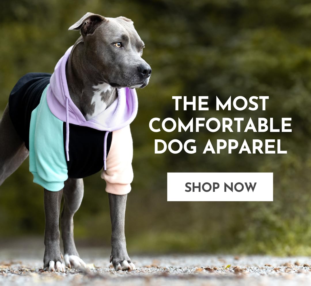 Style That Fetches Compliments
