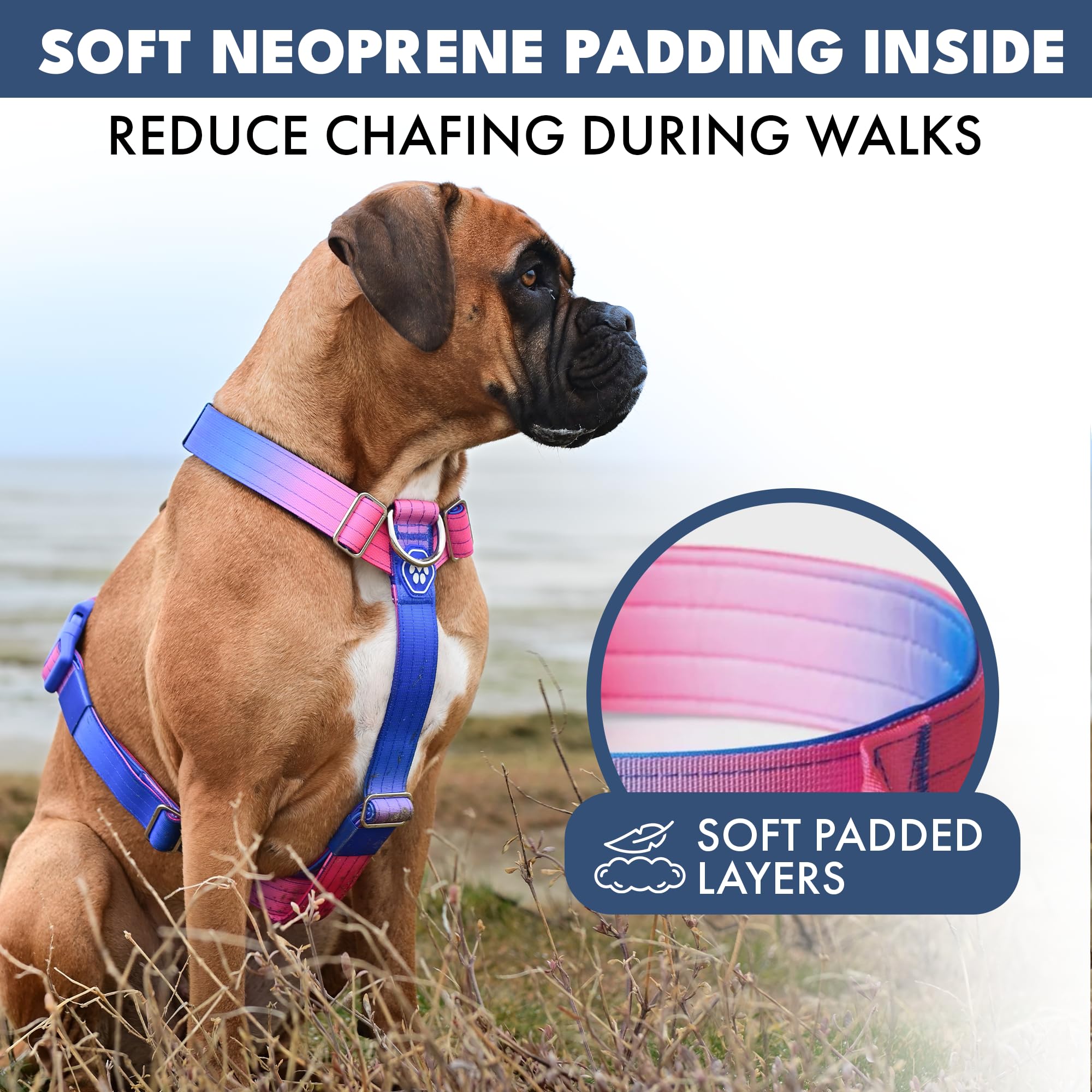 Spark Paws No Pull Dog Harness with Handle for Large Dogs, Heavy Duty Dog Harness for Big Strong Breeds, Adjustable, Y Shaped Padded Halter Design with Front Clip - Snow Cone - L - Image 5