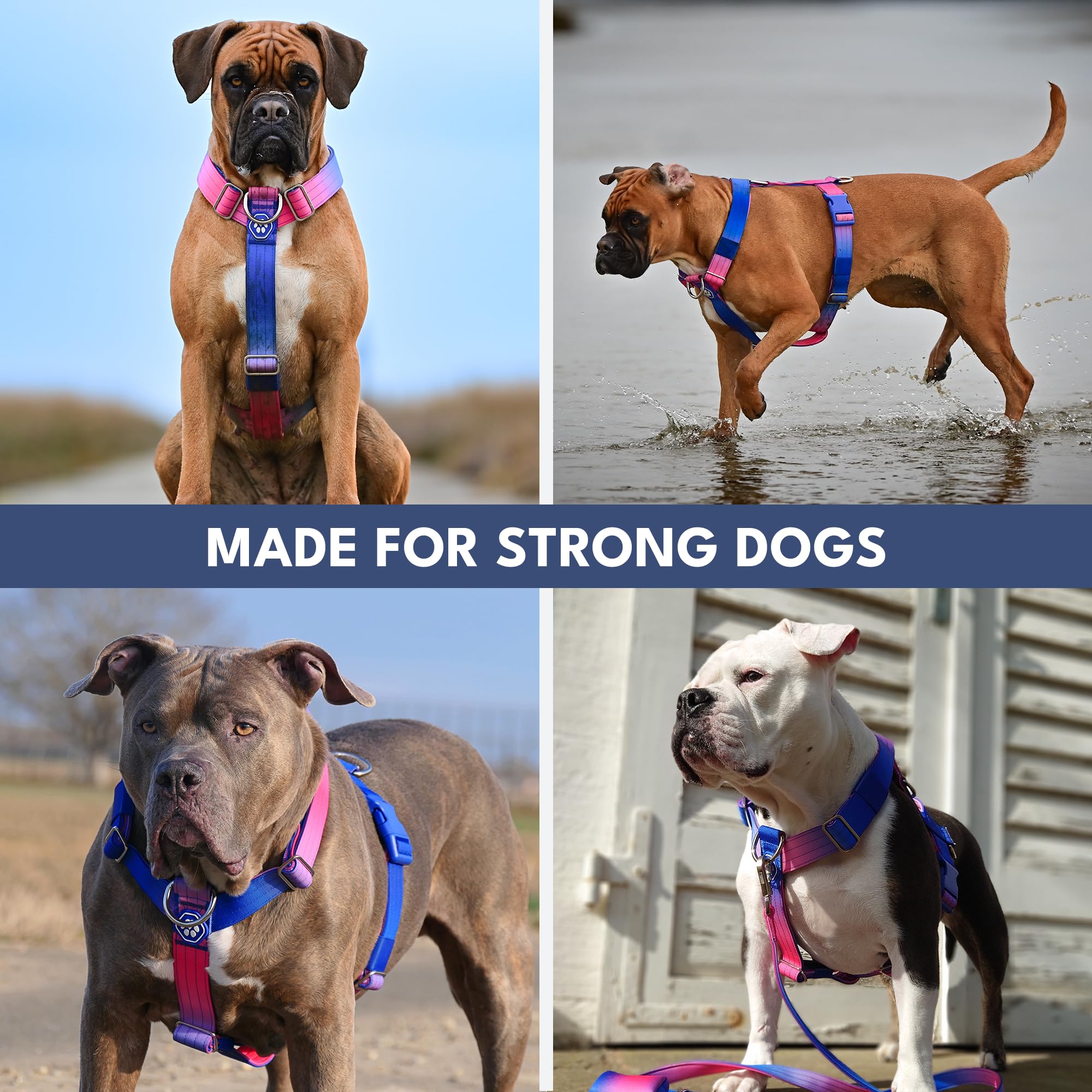 Spark Paws No Pull Dog Harness with Handle for Large Dogs, Heavy Duty Dog Harness for Big Strong Breeds, Adjustable, Y Shaped Padded Halter Design with Front Clip - Snow Cone - L - Image 8