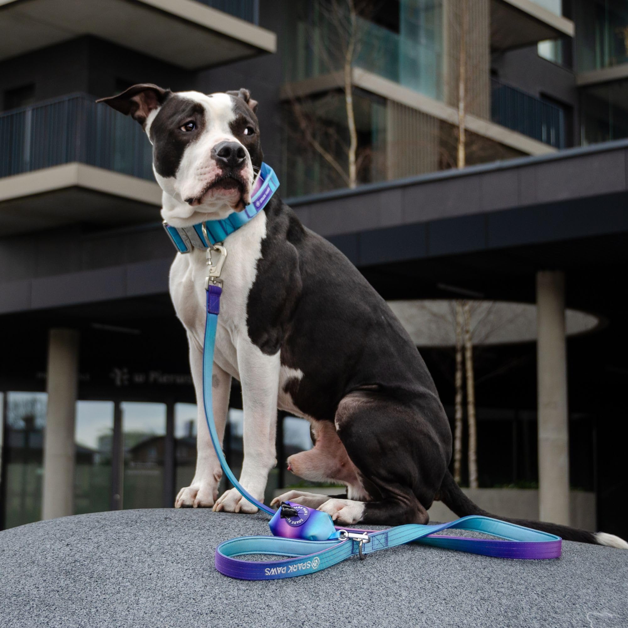 Spark Paws Premium Dog Leash & Poop Bag Set - Heavy-Duty Alloy Hook for Strong Pulling Breeds - Comfortable, Durable & Secure - 90s Retro - Image 6